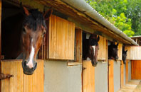 free Chepstow stable construction quotes